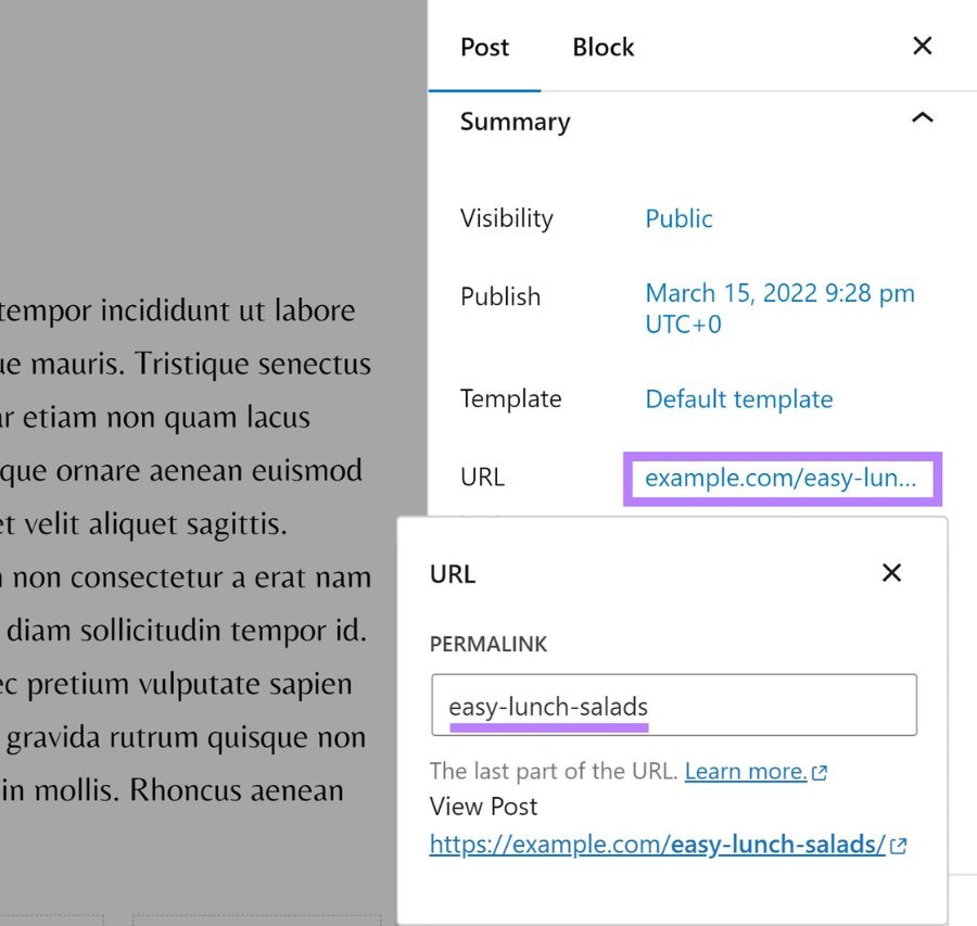 Chỉnh slug trong Block Editor